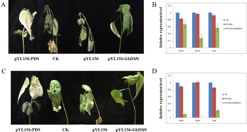 Fig. 11