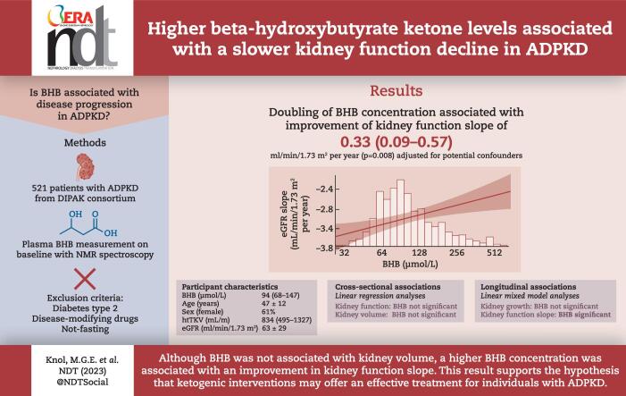 Graphical Abstract