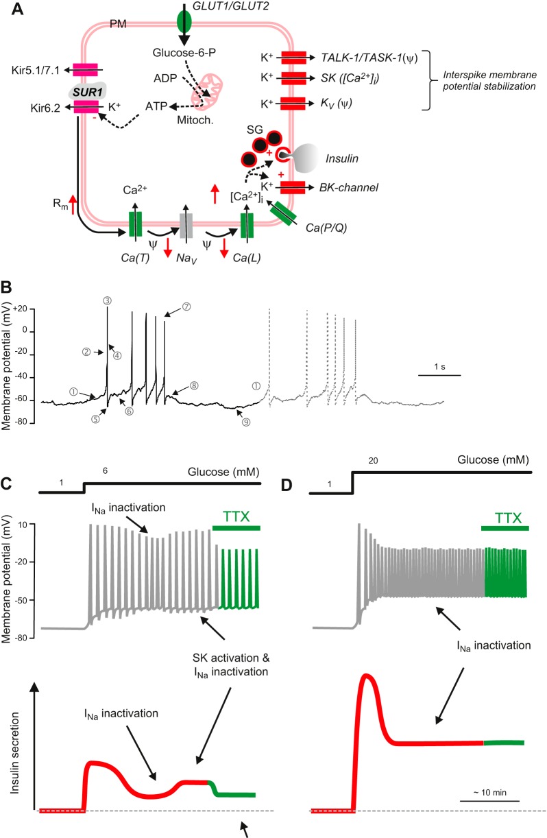 FIGURE 13.