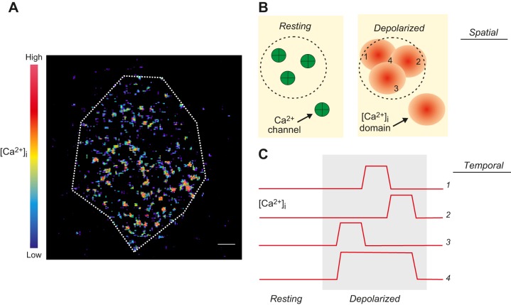 FIGURE 22.