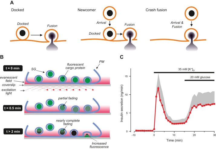 FIGURE 23.