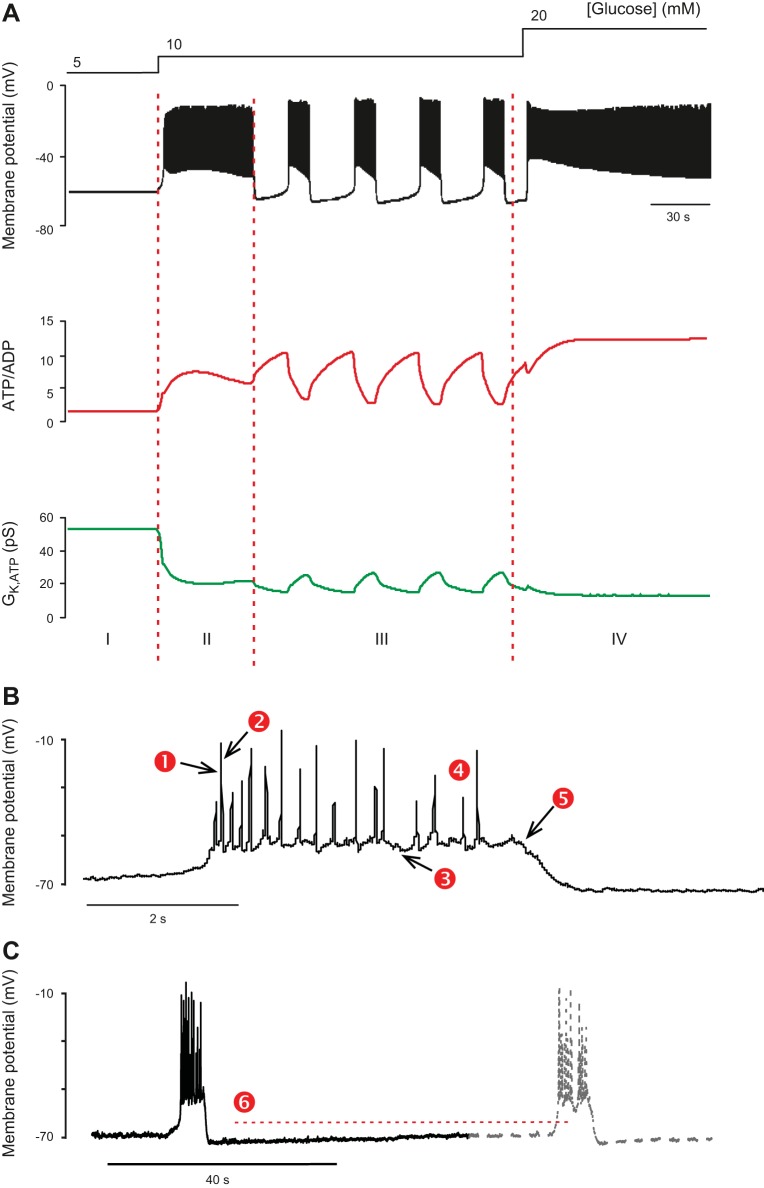 FIGURE 12.