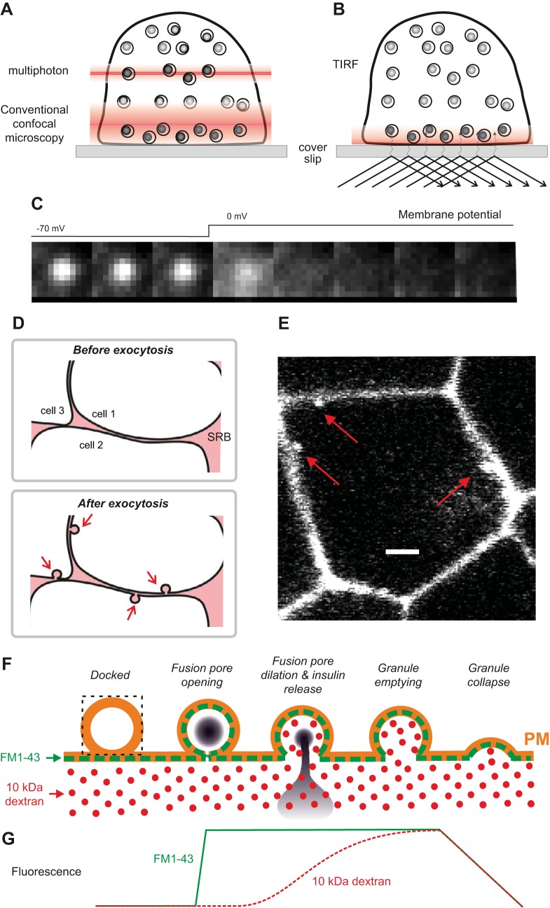 FIGURE 18.