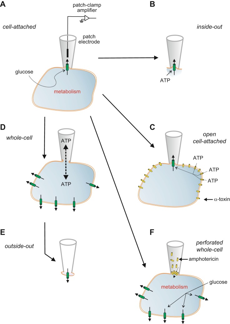 FIGURE 3.