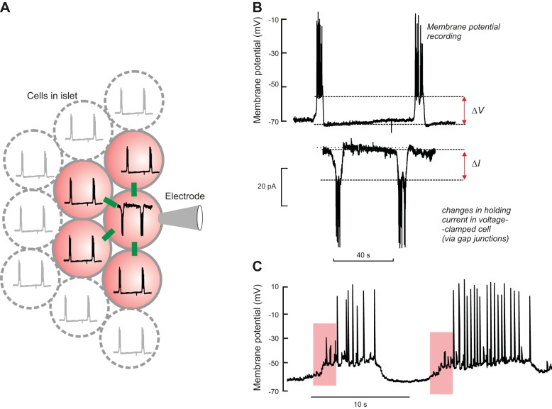 FIGURE 11.