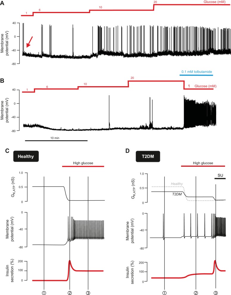 FIGURE 27.