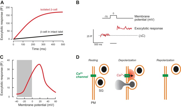 FIGURE 19.