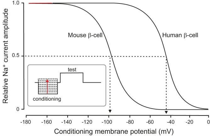 FIGURE 10.