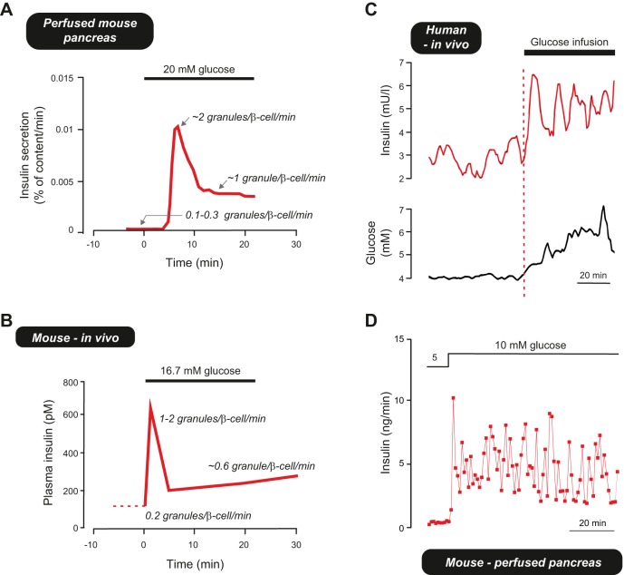 FIGURE 15.