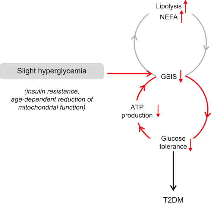 FIGURE 26.