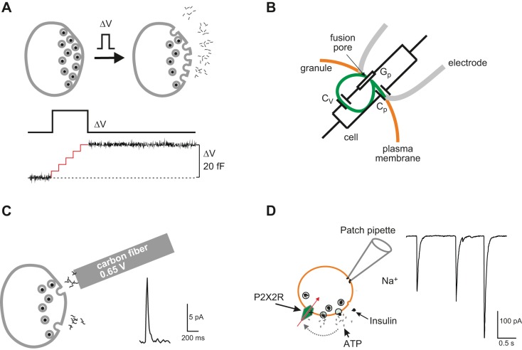 FIGURE 17.