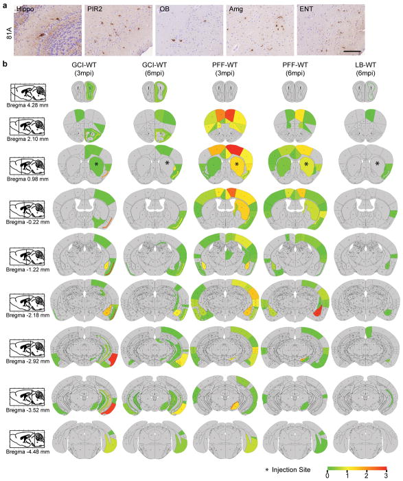 Extended Data Fig. 1