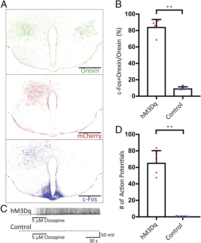 Fig. 2.