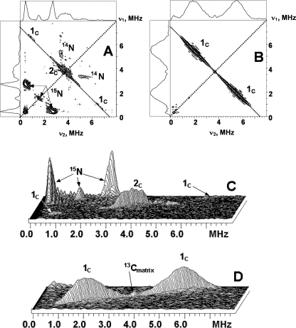 FIGURE 2.