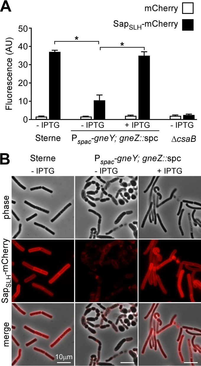 FIG 7