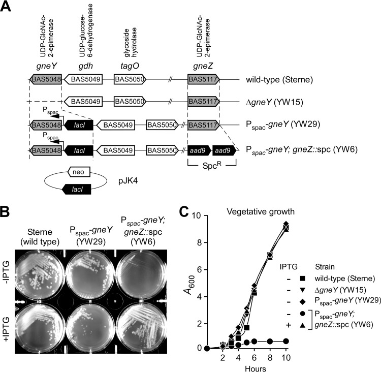 FIG 1