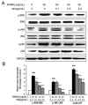 Fig 7