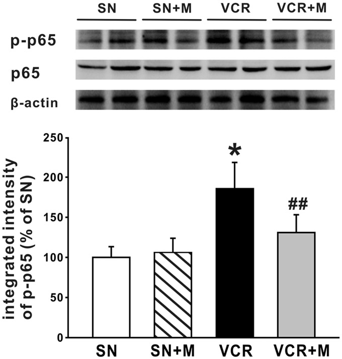 Figure 6.