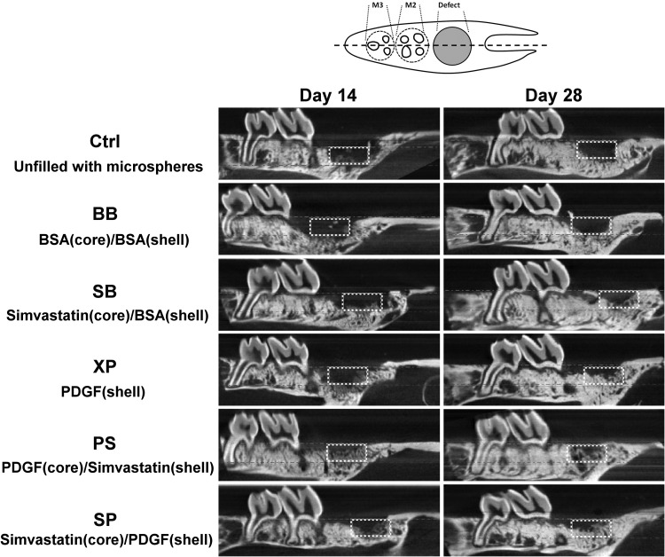 FIG. 2.