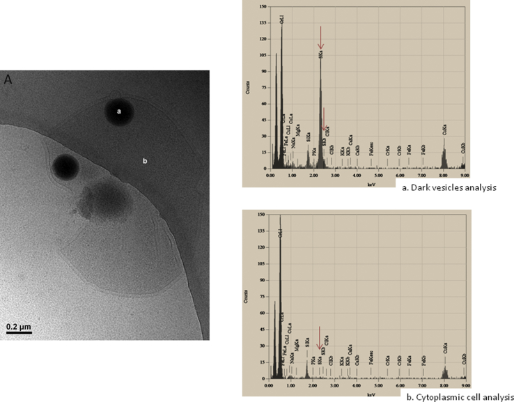 Fig. 3