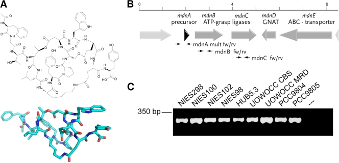 FIG. 1.