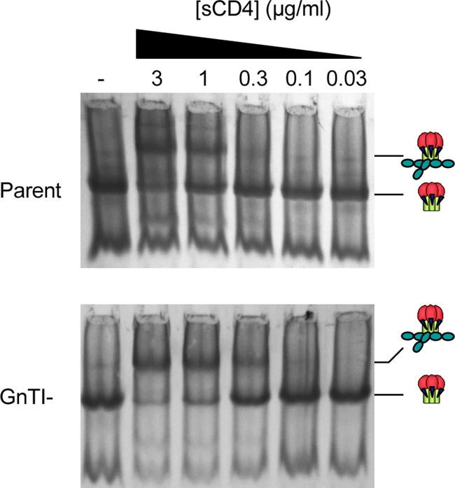 FIG. 4.