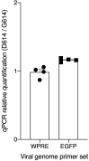 Figure 2—figure supplement 2.