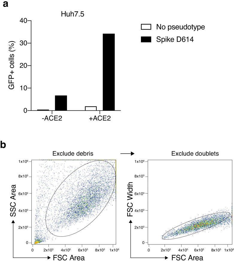 Figure 2—figure supplement 1.