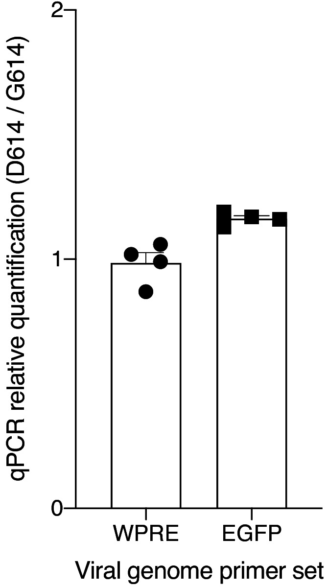 Figure 2—figure supplement 2.