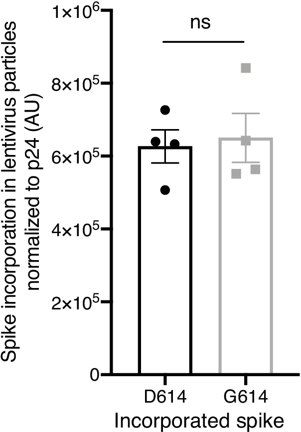 Figure 3—figure supplement 1.