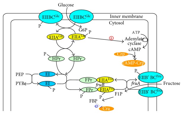 Figure 7