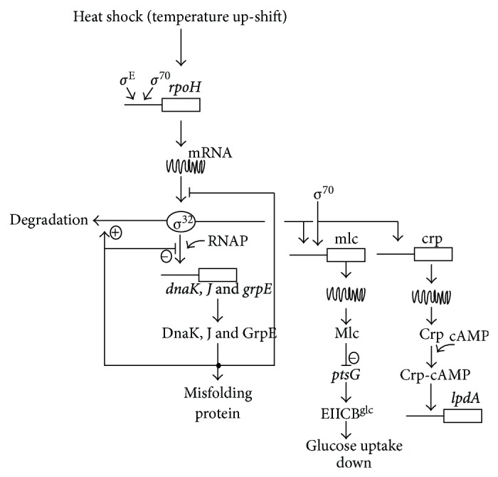 Figure 27