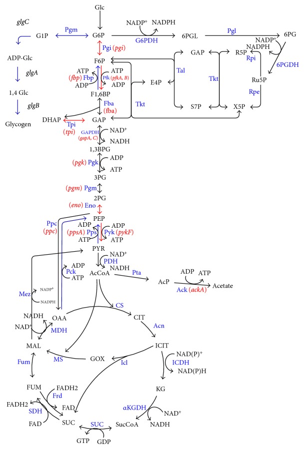 Figure 12