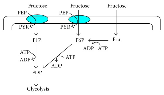 Figure 8