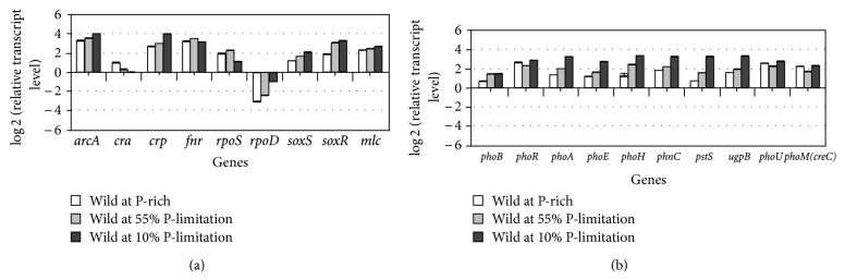 Figure 22