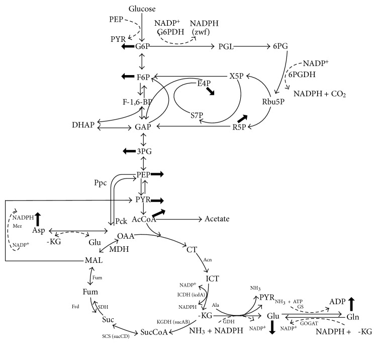 Figure 15