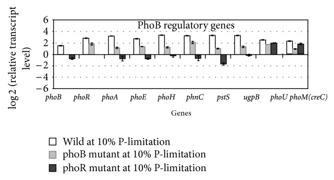 Figure 23