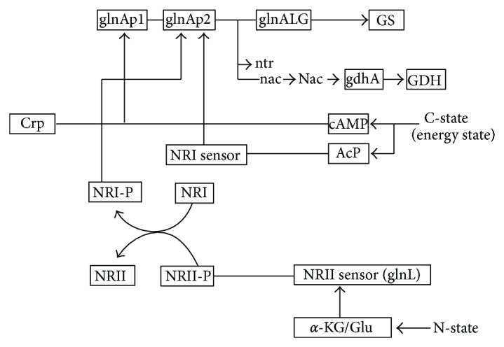 Figure 19