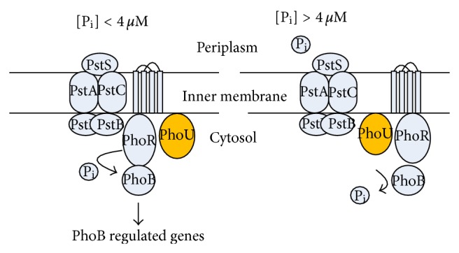 Figure 21