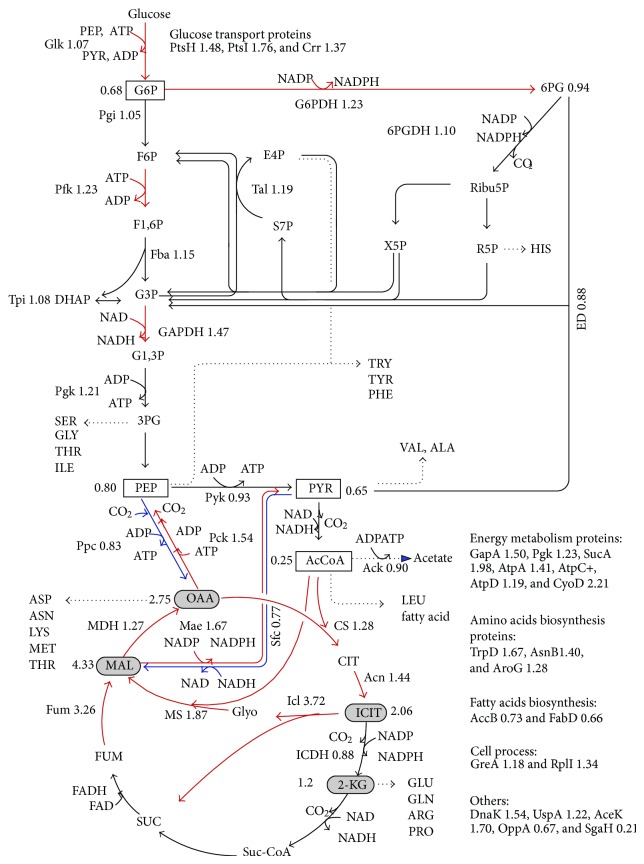 Figure 28