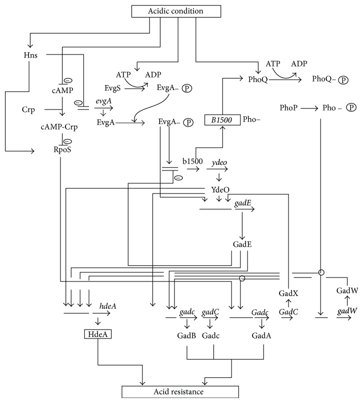 Figure 26