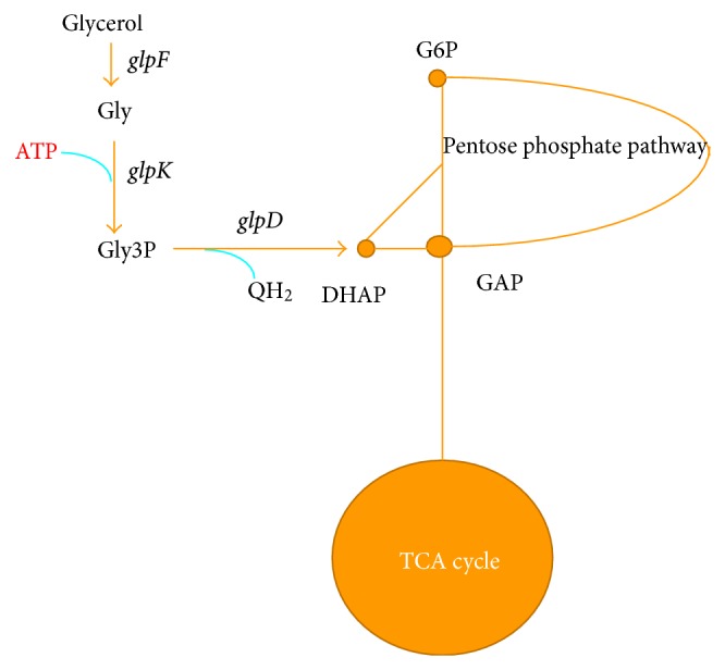 Figure 10