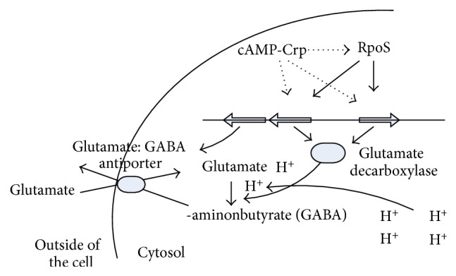 Figure 25