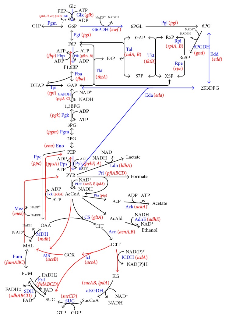 Figure 13