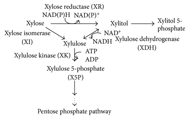 Figure 9