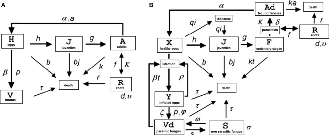 Figure 1