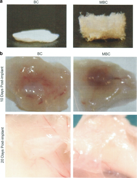 FIG. 5.