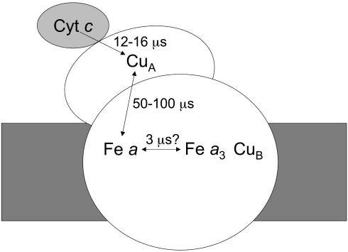 Scheme 1.