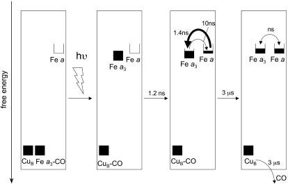 Fig. 5.