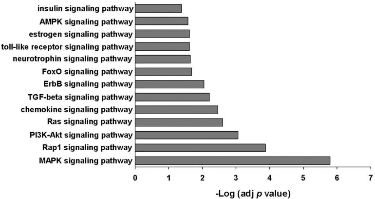 FIGURE 4